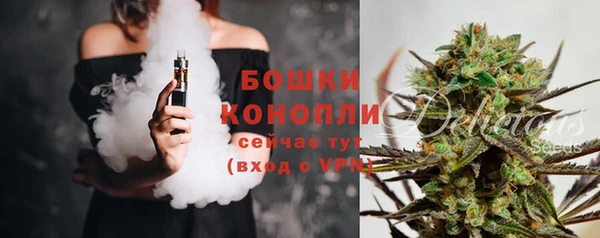 индика Нязепетровск