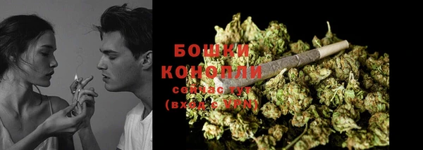 индика Нязепетровск