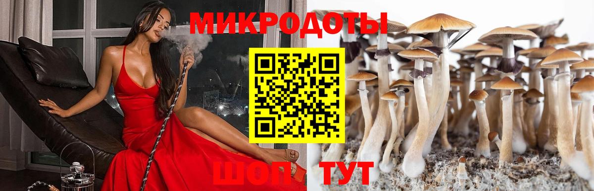 Бугуруслан  Галлюциногенные грибы мицелий  Вход с VPN 